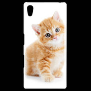 Coque Sony Xpéria Z5 Chaton marron et blanc