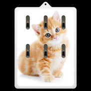 Porte clés Chaton marron et blanc