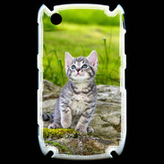 Coque Blackberry 8520 Portrait d'un chaton gris