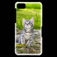 Coque Blackberry Z10 Portrait d'un chaton gris