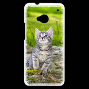 Coque HTC One Portrait d'un chaton gris