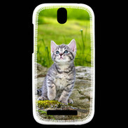 Coque HTC One SV Portrait d'un chaton gris