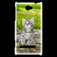 Coque HTC Windows Phone 8S Portrait d'un chaton gris