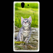 Coque Sony Xperia Z Portrait d'un chaton gris
