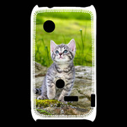 Coque Sony Xperia Typo Portrait d'un chaton gris