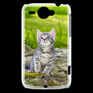 Coque HTC Wildfire G8 Portrait d'un chaton gris
