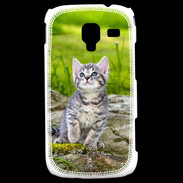 Coque Samsung Galaxy Ace 2 Portrait d'un chaton gris