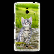 Coque Nokia Lumia 1320 Portrait d'un chaton gris