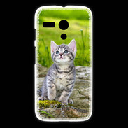 Coque Motorola G Portrait d'un chaton gris