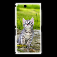 Coque Sony Xpéria Z Ultra Portrait d'un chaton gris