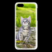 Coque iPhone 5C Portrait d'un chaton gris