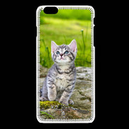 Coque iPhone 6Plus / iPhone 6Splus Portrait d'un chaton gris
