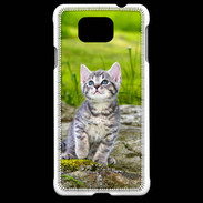 Coque Samsung Galaxy Alpha Portrait d'un chaton gris