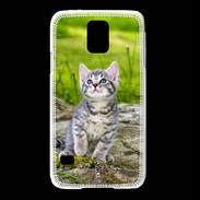 Coque Samsung Galaxy S5 Portrait d'un chaton gris