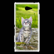 Coque Sony Xperia M2 Portrait d'un chaton gris