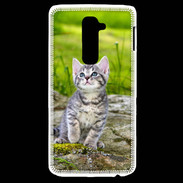 Coque LG G2 Portrait d'un chaton gris