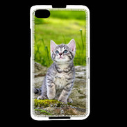 Coque Blackberry Z30 Portrait d'un chaton gris