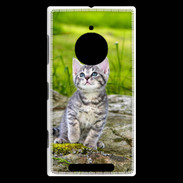 Coque Nokia Lumia 830 Portrait d'un chaton gris