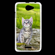 Coque HTC Desire 516 Portrait d'un chaton gris