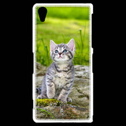 Coque Sony Xperia Z2 Portrait d'un chaton gris