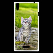 Coque Sony Xperia T3 Portrait d'un chaton gris