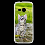 Coque HTC One Mini 2 Portrait d'un chaton gris