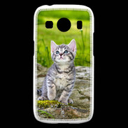 Coque Samsung Galaxy Ace4 Portrait d'un chaton gris