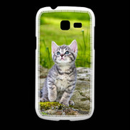 Coque Samsung Galaxy Fresh Portrait d'un chaton gris