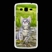 Coque Samsung Galaxy Grand2 Portrait d'un chaton gris