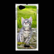 Coque Sony Xpéria J Portrait d'un chaton gris