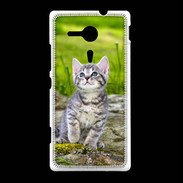 Coque Sony Xpéria SP Portrait d'un chaton gris