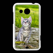 Coque HTC Desire 200 Portrait d'un chaton gris