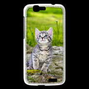 Coque Huawei Ascend G7 Portrait d'un chaton gris