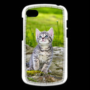 Coque Blackberry Q10 Portrait d'un chaton gris