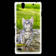 Coque Sony Xperia C4 Portrait d'un chaton gris