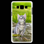 Coque Samsung A7 Portrait d'un chaton gris