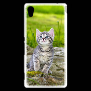 Coque Sony Xperia M4 Aqua Portrait d'un chaton gris