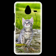 Coque Personnalisée Nokia Lumia 640XL LTE Portrait d'un chaton gris