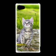 Coque Sony Xperia Z5 Compact Portrait d'un chaton gris