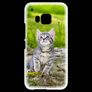 Coque HTC One M9 Portrait d'un chaton gris