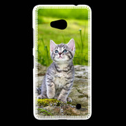 Coque Nokia Lumia 640 LTE Portrait d'un chaton gris