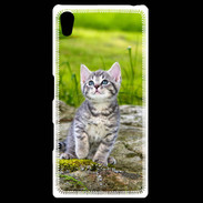Coque Sony Xpéria Z5 Portrait d'un chaton gris