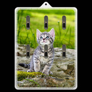 Porte clés Portrait d'un chaton gris