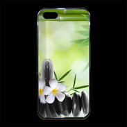 Coque iPhone 5/5S Premium Eau de Spas