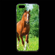 Coque iPhone 5/5S Premium Cheval arabe robe marron et blanche