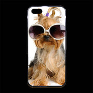 Coque iPhone 5/5S Premium Chien Yorkie avec lunette de soleil