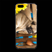 Coque iPhone 5/5S Premium Chiot Carlin
