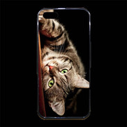 Coque iPhone 5/5S Premium Chat européen
