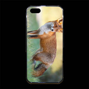 Coque iPhone 5/5S Premium Renard en ballade