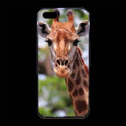 Coque iPhone 5/5S Premium Portrait d'une Giraffe